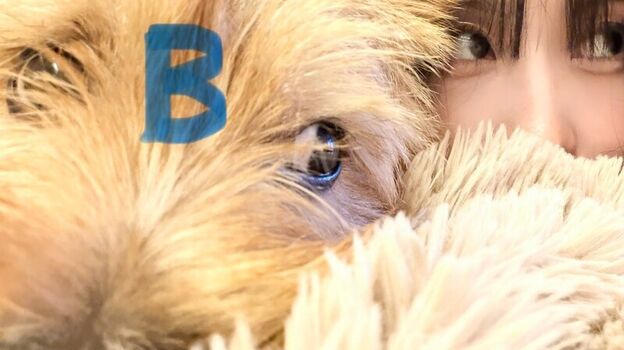 🔥 Hirai momo page leaked private photo uncensored full