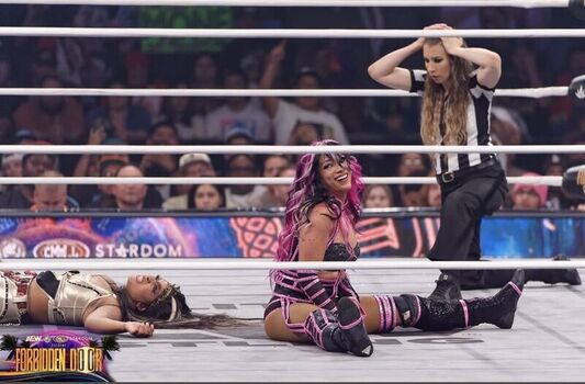 🔥 Sasha banks page leaked private photo uncensored full