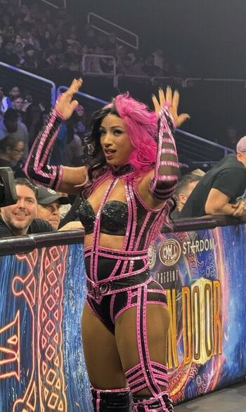 🔥 Sasha banks page leaked private photo uncensored full