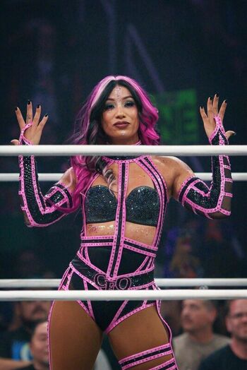 🔥 Sasha banks page leaked private photo uncensored full