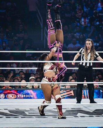 🔥 Sasha banks page leaked private photo uncensored full