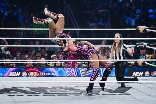 🔥 Sasha banks page leaked private photo uncensored full